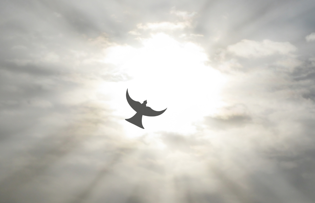 grieving holy spirit dove in clouds