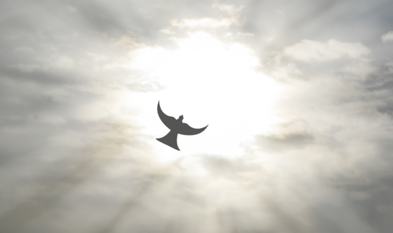 grieving holy spirit dove in clouds